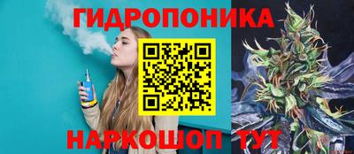 дмт Гатчина