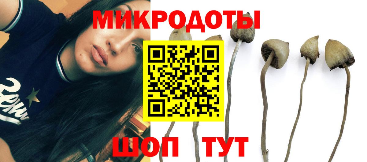 как найти закладки  Псилоцибиновые грибы мицелий  Галлюциногенные грибы Magic Shrooms  Вход с VPN  Гусиноозёрск 